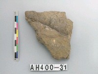 藏品(石料)的圖片